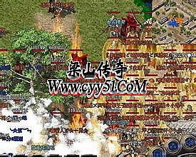 �ֻ���Ѫ����װ������