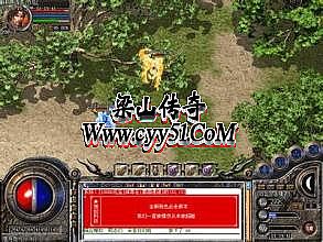 �洫���yyƵ��