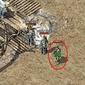 ����ʮ�����ʿ���������������